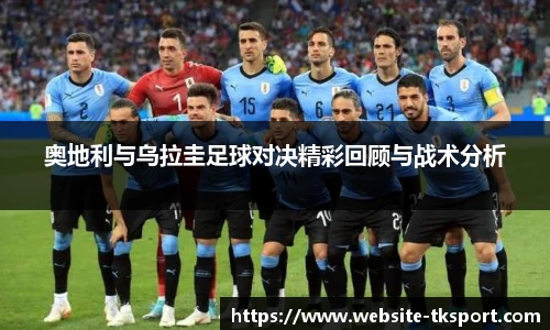 TK体育官网